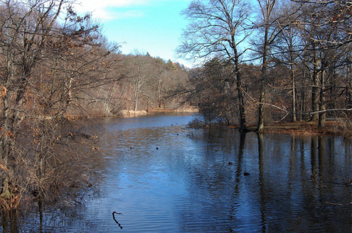 Catfish Fishing in the Winter - Sport Fishing